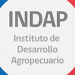 indap