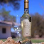 vino-del-desierto